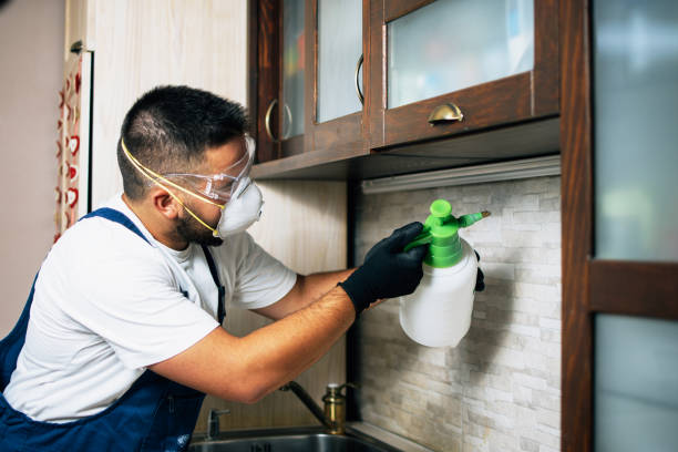 Best Flea Control Services  in Pineville, NC