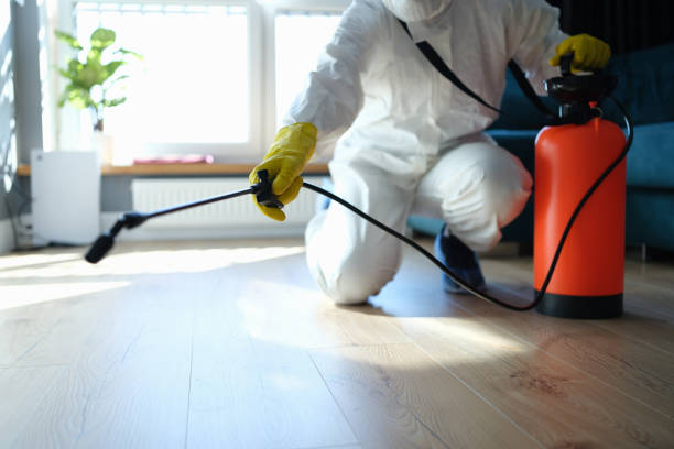 Best Best Pest Control Companies  in Pineville, NC