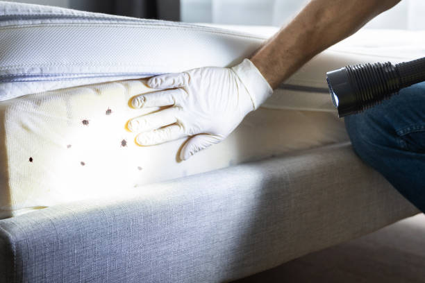 Best Pest Prevention Services  in Pineville, NC