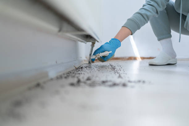 Best Rodent Control Near Me  in Pineville, NC