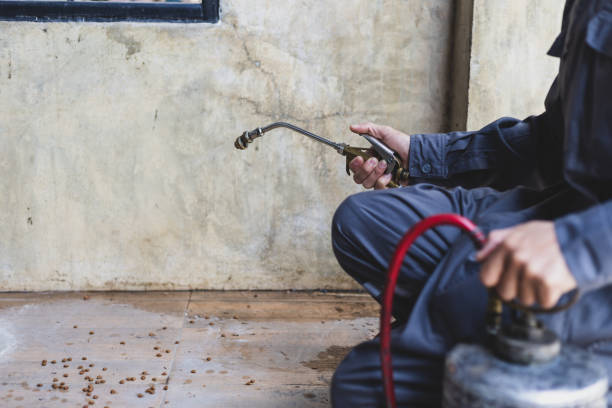Best Termite Control Services  in Pineville, NC